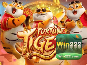 Guia install APK WIN22 BR
