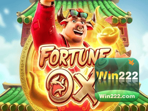 WIN22 login — painel de entrada no app oficial